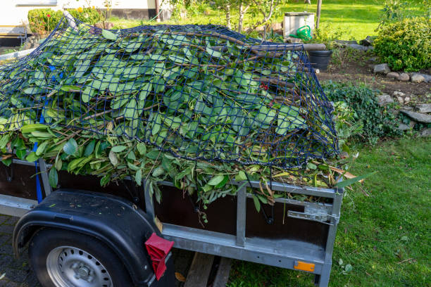 Trusted Aubrey, TX Junk Removal Services Experts